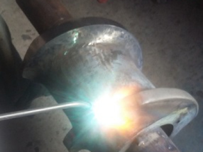 Phục hồi vít trong ngành sx thức ăn thủy sản