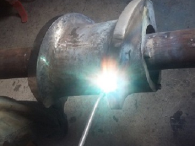 Phục hồi vít trong ngành sx thức ăn thủy sản